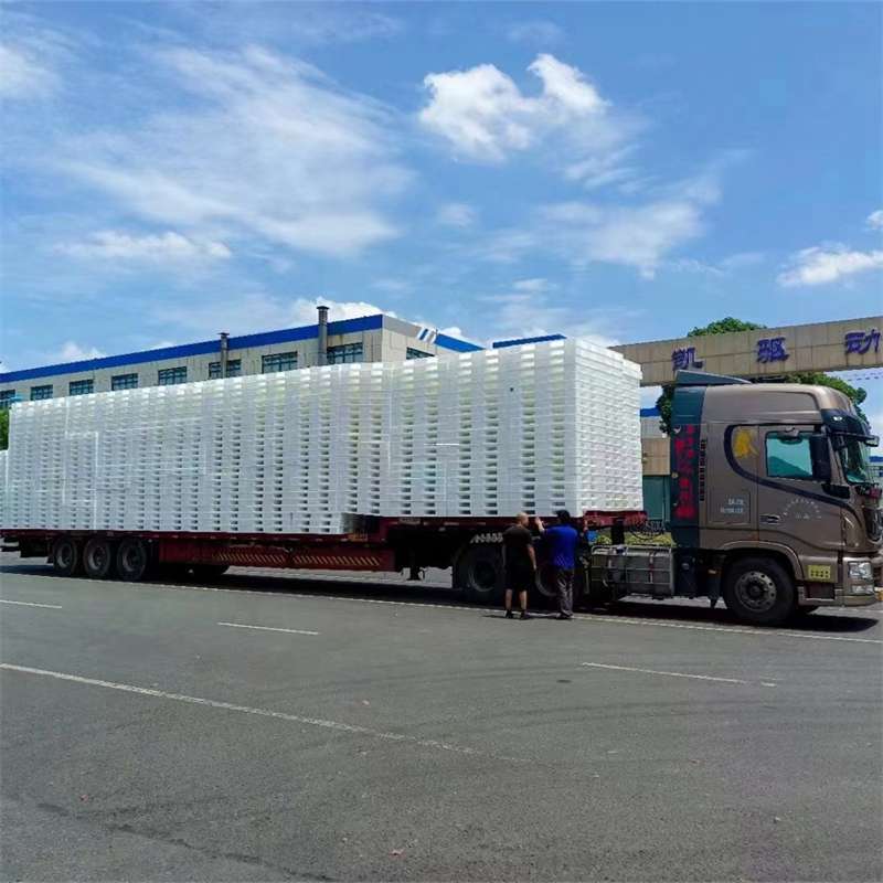 黑龙江绥化望奎县到滁州物流公司，专业运输服务为您保驾护航